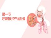 初中生物人教版（2024）七年級(jí)下冊(cè)4.3.1 呼吸道對(duì)空氣的處理 課件