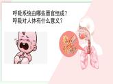 初中生物人教版（2024）七年級(jí)下冊(cè)4.3.1 呼吸道對(duì)空氣的處理 課件