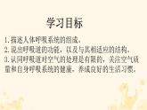 初中生物人教版（2024）七年級(jí)下冊(cè)4.3.1 呼吸道對(duì)空氣的處理 課件