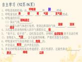 初中生物人教版（2024）七年級(jí)下冊(cè)4.3.1 呼吸道對(duì)空氣的處理 課件