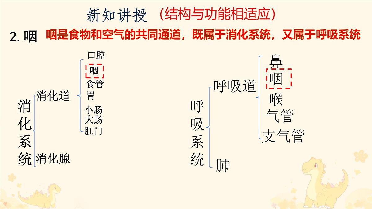 初中生物人教版（2024）七年级下册4.3.1 呼吸道对空气的处理 课件第6页