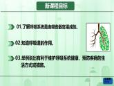 初中生物人教版（2024）七年級(jí)下冊(cè)4.3.1 呼吸道對(duì)空氣的處理 課件