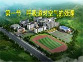 初中生物人教版（2024）七年級(jí)下冊(cè)4.3.1 呼吸道對(duì)空氣的處理 課件