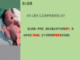 初中生物人教版（2024）七年級(jí)下冊(cè)4.3.1 呼吸道對(duì)空氣的處理 課件