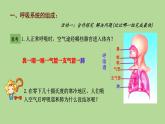初中生物人教版（2024）七年級(jí)下冊(cè)4.3.1 呼吸道對(duì)空氣的處理 課件