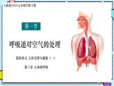 初中生物人教版（2024）七年級(jí)下冊(cè)4.3.1 呼吸道對(duì)空氣的處理 課件