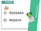 初中生物人教版（2024）七年級(jí)下冊(cè)4.3.1 呼吸道對(duì)空氣的處理 課件
