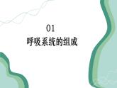 初中生物人教版（2024）七年級(jí)下冊(cè)4.3.1 呼吸道對(duì)空氣的處理 課件