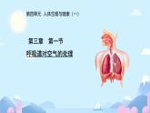 初中生物人教版（2024）七年級(jí)下冊(cè)4.3.1 呼吸道對(duì)空氣的處理 課件