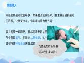 初中生物人教版（2024）七年級(jí)下冊(cè)4.3.1 呼吸道對(duì)空氣的處理 課件