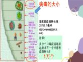 冀少版生物八年級上冊 5.1.2 病毒課件