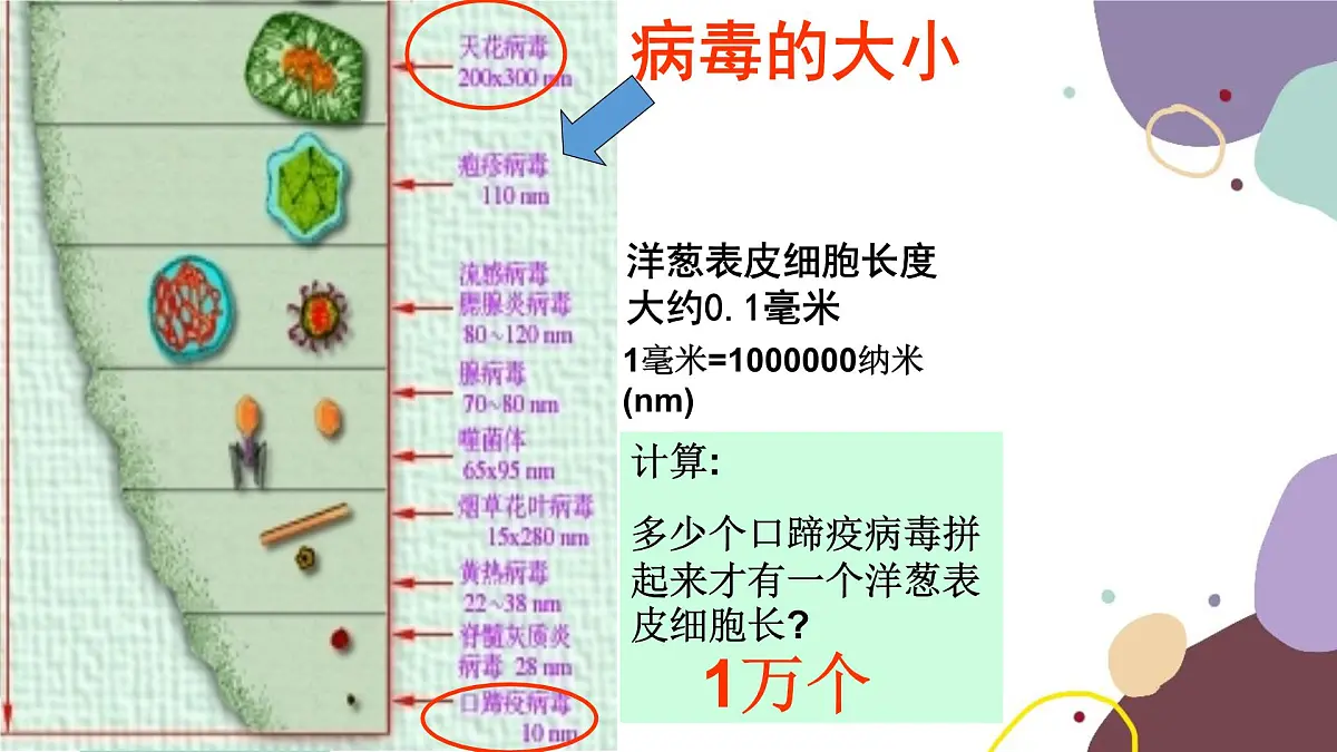 冀少版生物八年级上册 5.1.2 病毒课件第3页