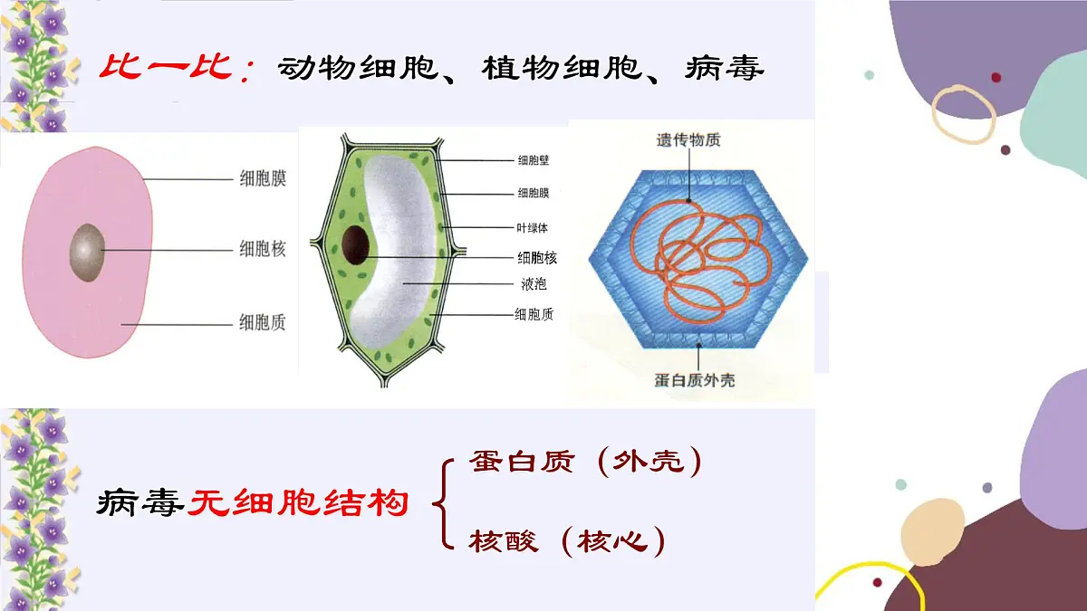冀少版生物八年级上册 5.1.2 病毒课件第6页