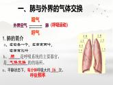 初中生物人教版（2024）七年級(jí)下冊(cè)4.3.2 發(fā)生在肺內(nèi)的氣體交換 課件
