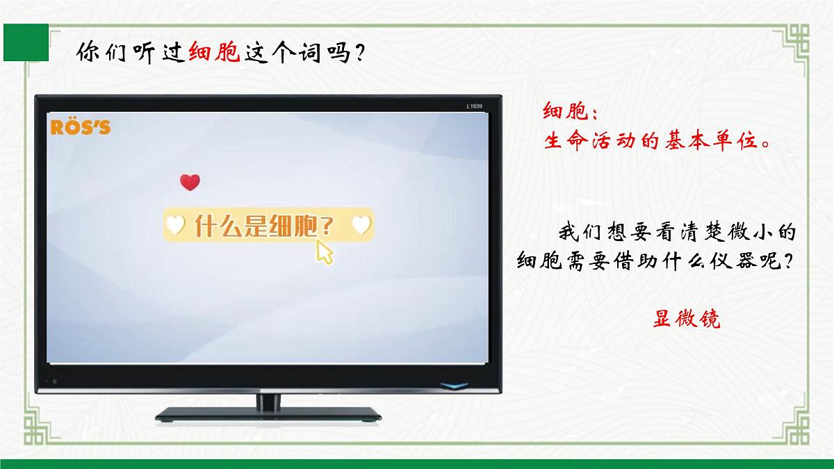 北师大版生物七年级上册 2.2.1细胞的基本结构和功能 教学课件第4页