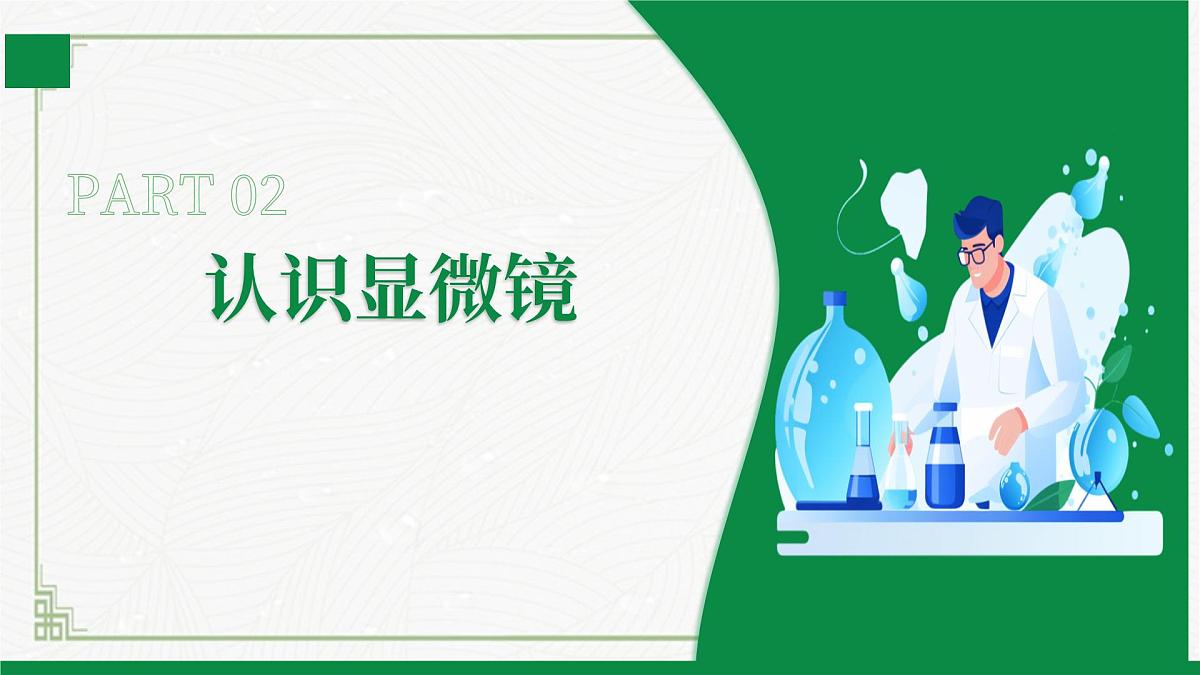 北师大版生物七年级上册 2.2.1细胞的基本结构和功能 教学课件第7页