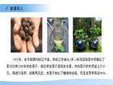 5.11.1 種子的萌發(fā) 第二課時 課件 生物蘇科版（2024）七年級下冊第五單元第十一章教案