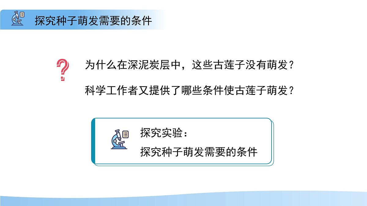 5.11.1 种子的萌发 第二课时 课件 生物苏科版（2024）七年级下册第五单元第十一章教案第4页