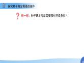 5.11.1 種子的萌發(fā) 第二課時 課件 生物蘇科版（2024）七年級下冊第五單元第十一章教案