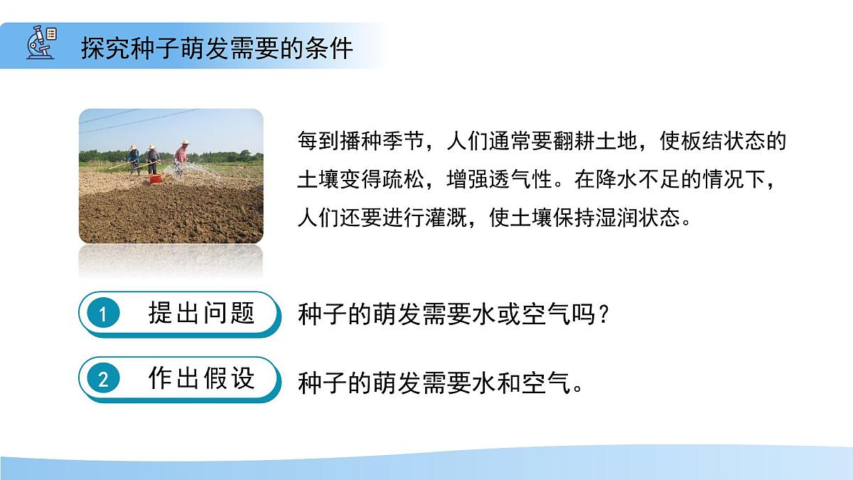 5.11.1 种子的萌发 第二课时 课件 生物苏科版（2024）七年级下册第五单元第十一章教案第6页