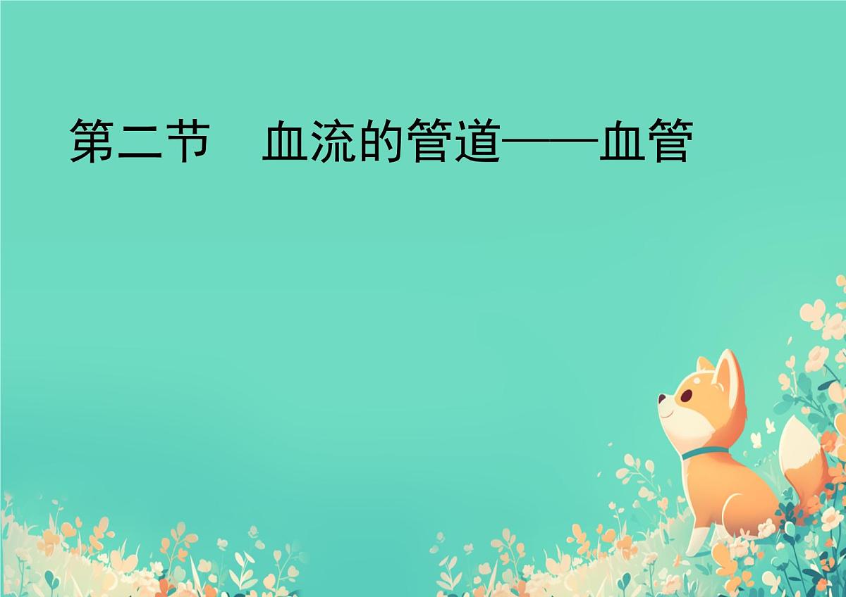 初中生物人教版（2024）七年级下册4.4.2 血流的管道——血管 课件第1页