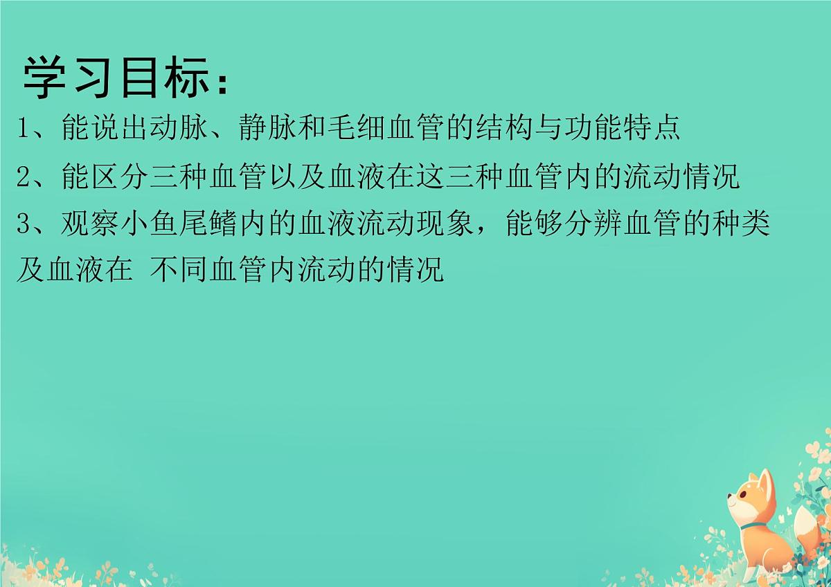 初中生物人教版（2024）七年级下册4.4.2 血流的管道——血管 课件第2页