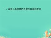 初中生物人教版（2024）七年級(jí)下冊(cè)4.4.2 血流的管道——血管 課件