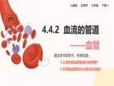 初中生物人教版（2024）七年級(jí)下冊(cè)4.4.2 血流的管道——血管 課件