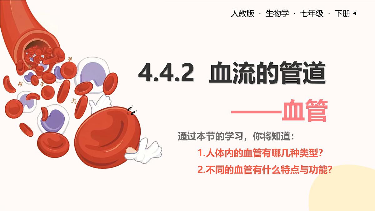 初中生物人教版（2024）七年级下册4.4.2 血流的管道——血管 课件第1页