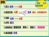 初中生物人教版（2024）七年級(jí)下冊(cè)4.4.2 血流的管道——血管 課件