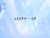 初中生物人教版（2024）七年級(jí)下冊(cè)4.4.2 血流的管道——血管 課件