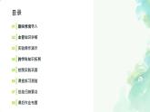 初中生物人教版（2024）七年級(jí)下冊(cè)4.4.2 血流的管道——血管 課件