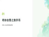 初中生物人教版（2024）七年級(jí)下冊(cè)4.4.2 血流的管道——血管 課件