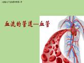 初中生物人教版（2024）七年級(jí)下冊(cè)4.4.2 血流的管道——血管 課件