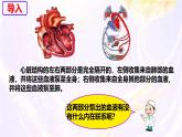 初中生物人教版（2024）七年級(jí)下冊(cè)4.4.3 輸送血液的泵——心臟 課件