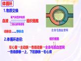 初中生物人教版（2024）七年級(jí)下冊(cè)4.4.3 輸送血液的泵——心臟 課件