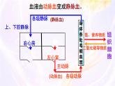 初中生物人教版（2024）七年級(jí)下冊(cè)4.4.3 輸送血液的泵——心臟 課件