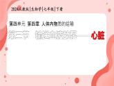 初中生物人教版（2024）七年級(jí)下冊(cè)4.4.3 輸送血液的泵——心臟 課件