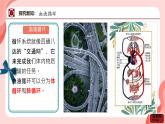 初中生物人教版（2024）七年級(jí)下冊(cè)4.4.3 輸送血液的泵——心臟 課件