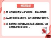 初中生物人教版（2024）七年級(jí)下冊(cè)4.4.3 輸送血液的泵——心臟 課件