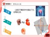 初中生物人教版（2024）七年級(jí)下冊(cè)4.4.3 輸送血液的泵——心臟 課件