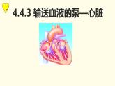 初中生物人教版（2024）七年级下册4.4.3 输送血液的泵——心脏 课件