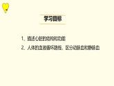 初中生物人教版（2024）七年级下册4.4.3 输送血液的泵——心脏 课件