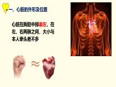 初中生物人教版（2024）七年级下册4.4.3 输送血液的泵——心脏 课件