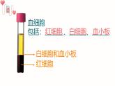 初中生物人教版（2024）七年級下冊4.4.1 流動的組織——血液 課件
