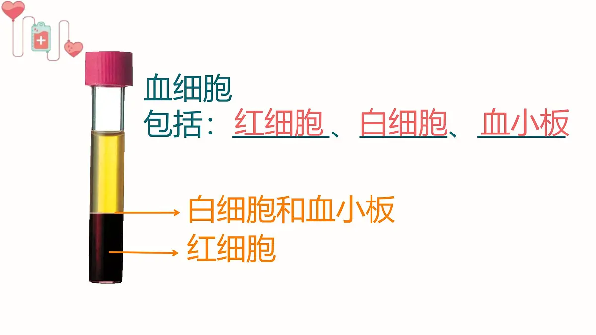 初中生物人教版（2024）七年级下册4.4.1 流动的组织——血液 课件第5页