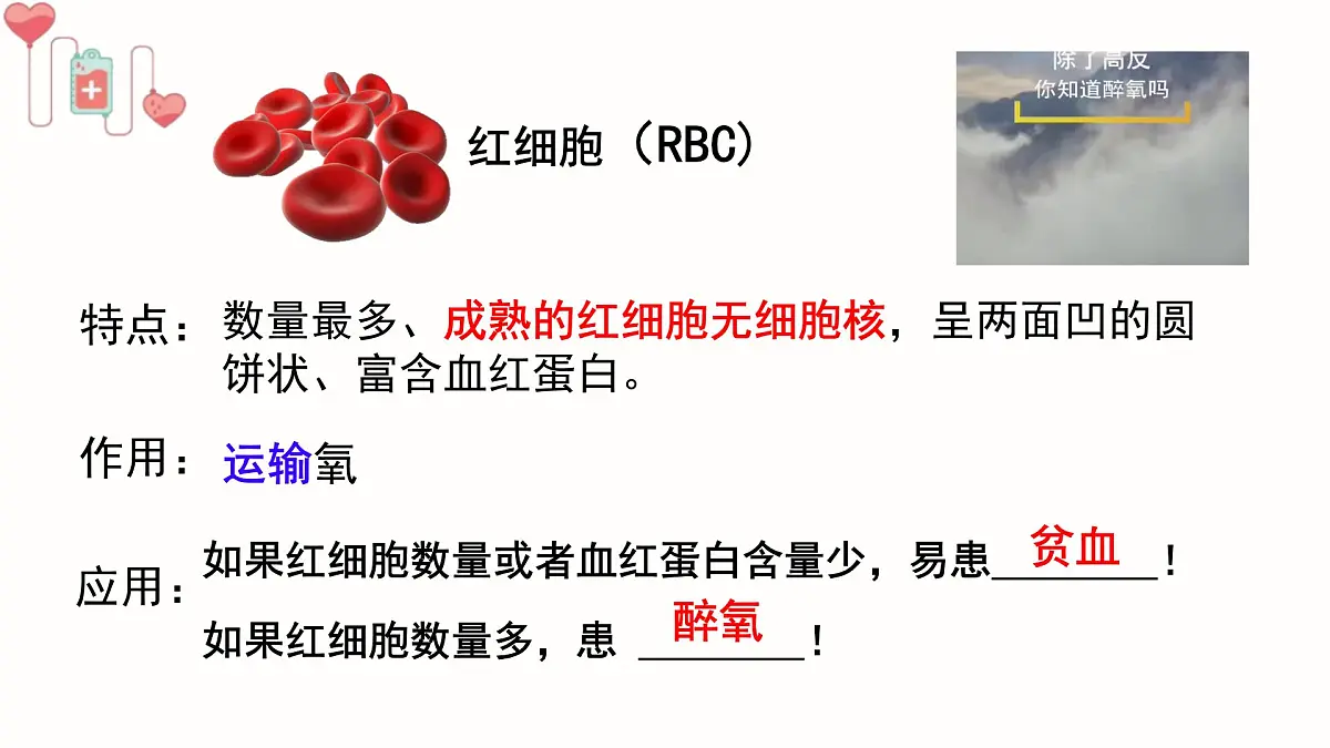 初中生物人教版（2024）七年级下册4.4.1 流动的组织——血液 课件第6页