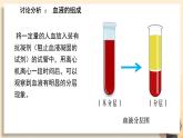 初中生物人教版（2024）七年級下冊4.4.1 流動的組織——血液 課件