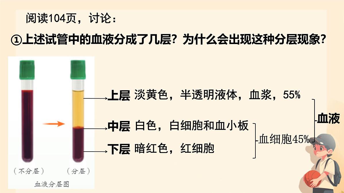 初中生物人教版（2024）七年级下册4.4.1 流动的组织——血液 课件第6页