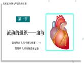 初中生物人教版（2024）七年級下冊4.4.1 流動的組織——血液 課件
